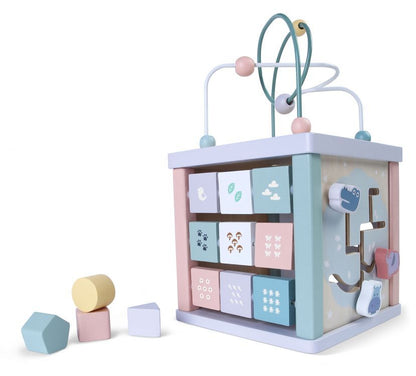 Wooden educational cube sorter Large