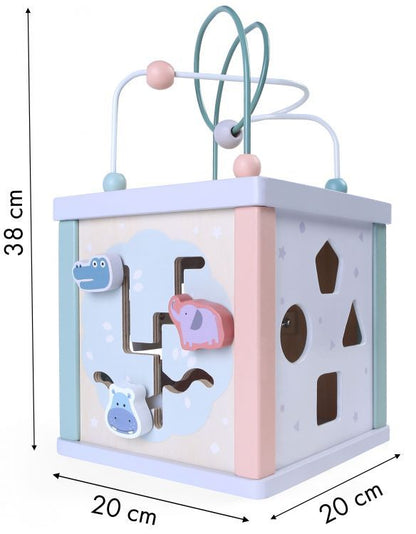 Wooden educational cube sorter Large