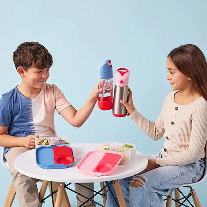 b.box Insulated Straw Bottle - 500ml – Flamingo Fizz