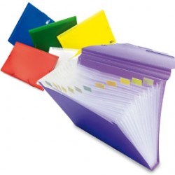 Colorosa Expandable File