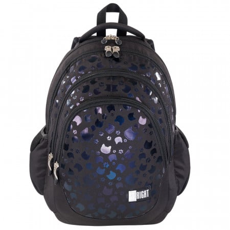 BLACK CATS 4 compartment Backpack BP06 43x32x21 cm