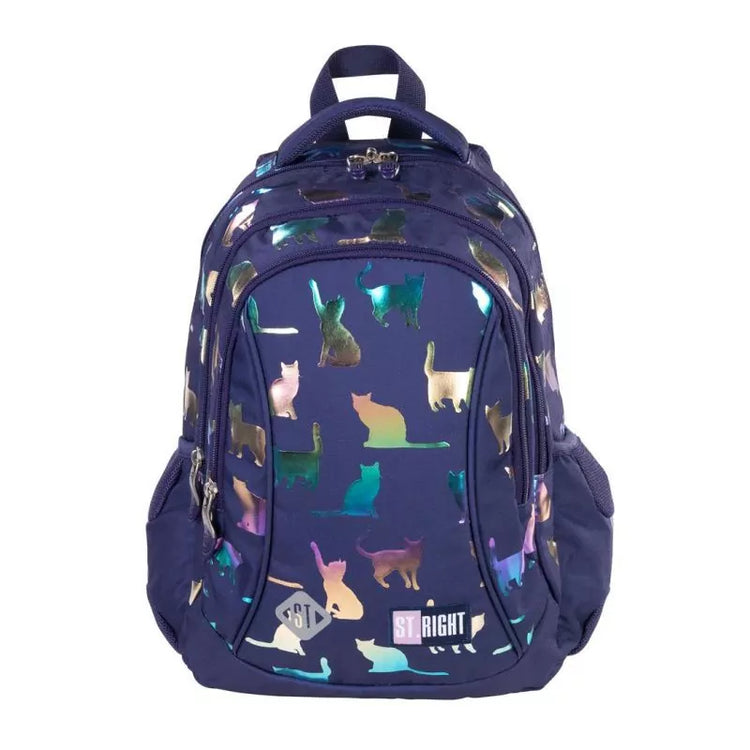 HOLO CATS 3-compartment backpack 39x27x17 cm