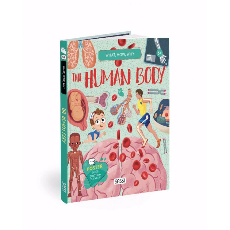 What, How, Why - The Human Body - Sassi